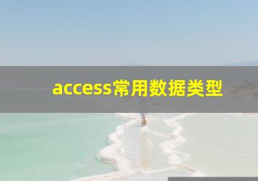 access常用数据类型