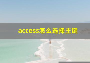 access怎么选择主键