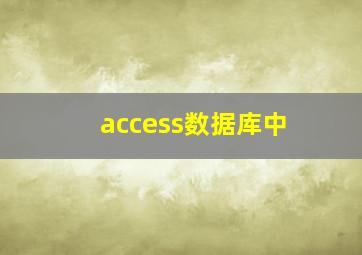 access数据库中