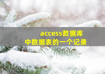 access数据库中数据表的一个记录