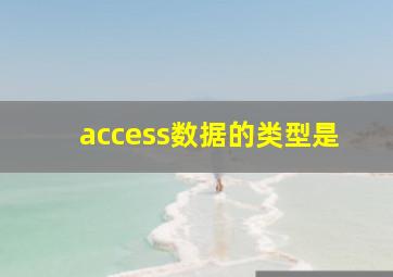 access数据的类型是