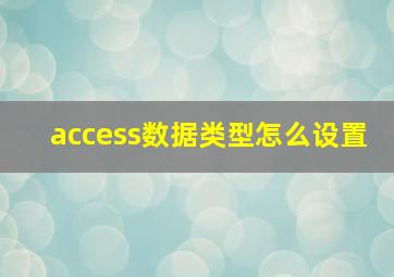 access数据类型怎么设置