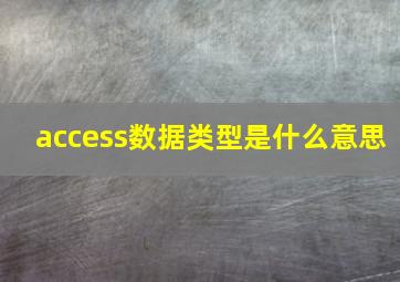 access数据类型是什么意思