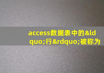 access数据表中的“行”被称为