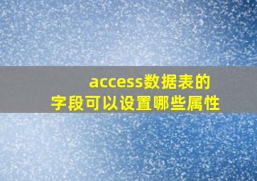 access数据表的字段可以设置哪些属性