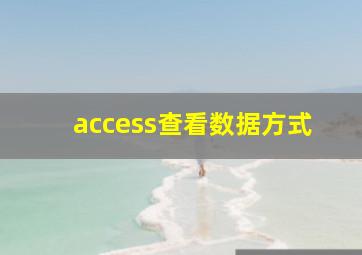 access查看数据方式