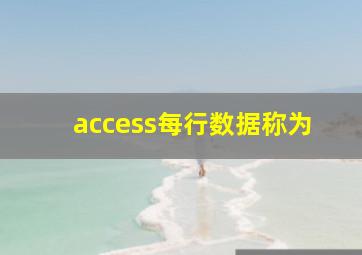 access每行数据称为