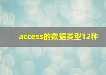 access的数据类型12种