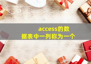 access的数据表中一列称为一个