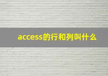 access的行和列叫什么