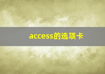 access的选项卡