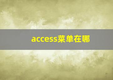 access菜单在哪