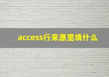 access行来源里填什么