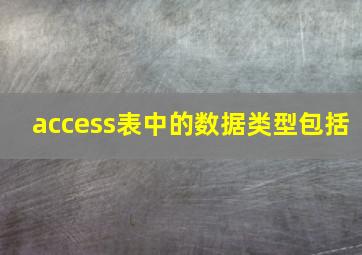 access表中的数据类型包括