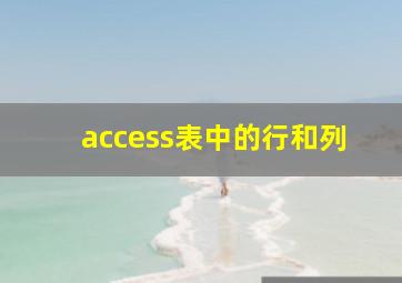 access表中的行和列