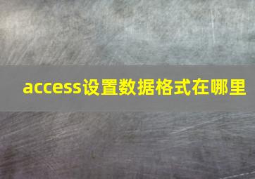 access设置数据格式在哪里