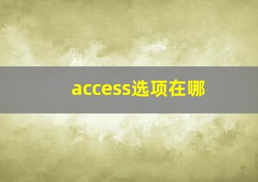 access选项在哪