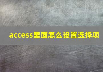 access里面怎么设置选择项