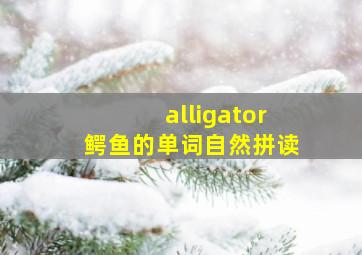 alligator鳄鱼的单词自然拼读