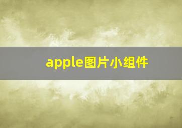 apple图片小组件