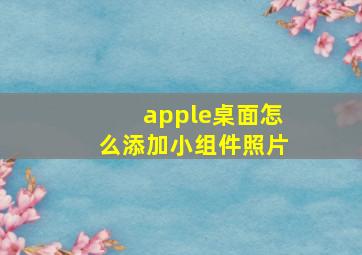 apple桌面怎么添加小组件照片