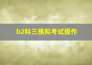 b2科三模拟考试操作