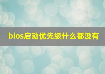 bios启动优先级什么都没有