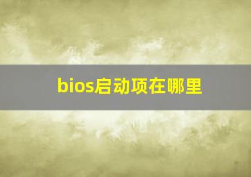 bios启动项在哪里