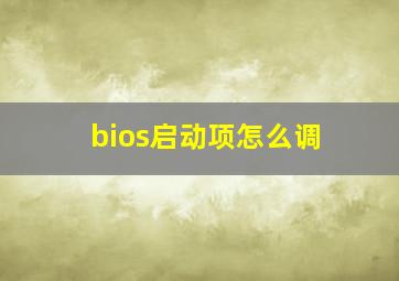 bios启动项怎么调