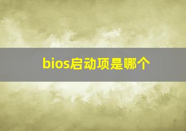 bios启动项是哪个