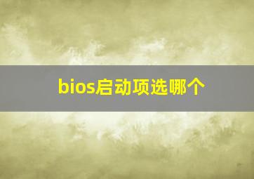 bios启动项选哪个