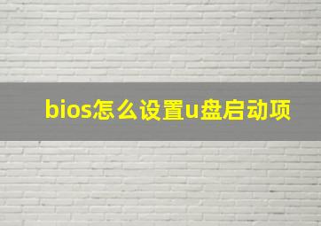 bios怎么设置u盘启动项