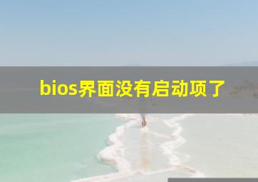 bios界面没有启动项了