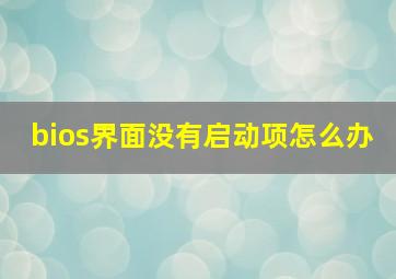 bios界面没有启动项怎么办