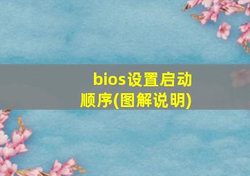 bios设置启动顺序(图解说明)