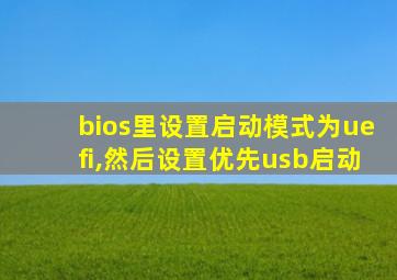 bios里设置启动模式为uefi,然后设置优先usb启动