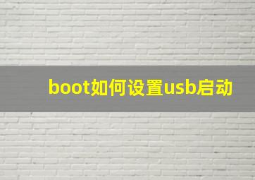 boot如何设置usb启动