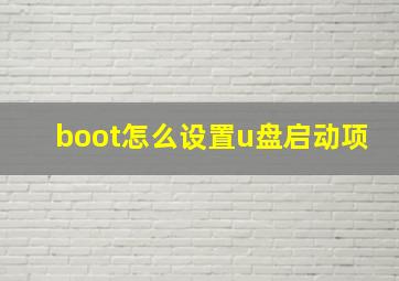 boot怎么设置u盘启动项