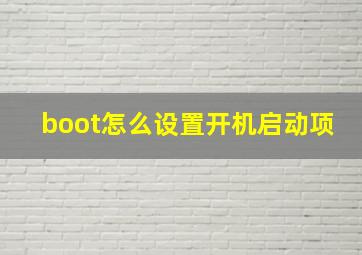 boot怎么设置开机启动项