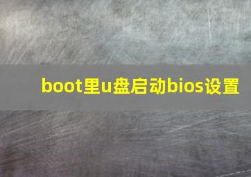 boot里u盘启动bios设置