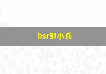 bsr邹小兵