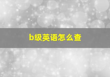 b级英语怎么查