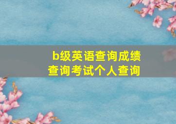 b级英语查询成绩查询考试个人查询