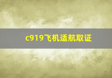 c919飞机适航取证