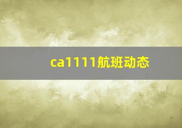 ca1111航班动态