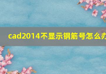 cad2014不显示钢筋号怎么办