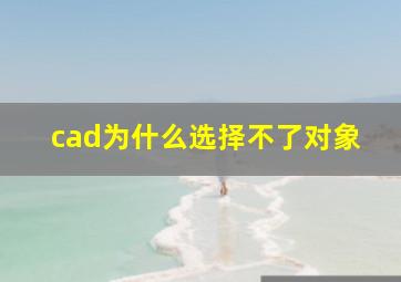 cad为什么选择不了对象