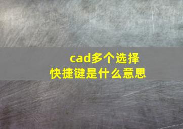 cad多个选择快捷键是什么意思