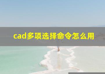 cad多项选择命令怎么用