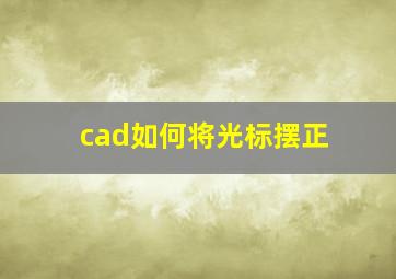 cad如何将光标摆正